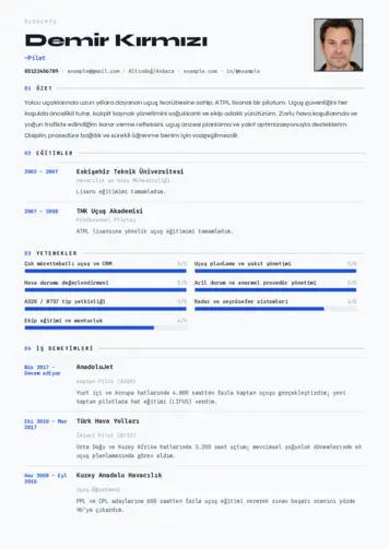 Pilot CV Örnekleri cv indir